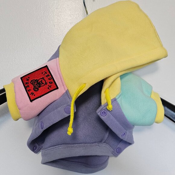 Teddy Fresh Pet Hoodie Colorblock Size L - Rare 2020 1st Edition - Picture 1 of 8